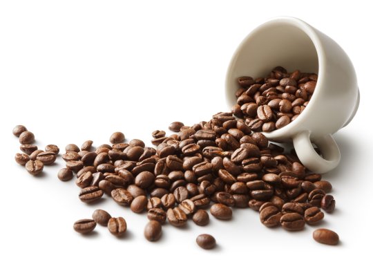 Tasse voll Kaffeebohnen für jede Zubereitung