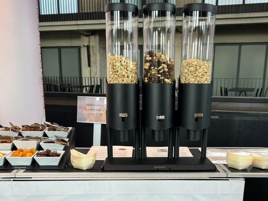 Gesundheitstag im Unternehmen: Brainfood