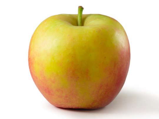 Apfel - Holsteiner Cox