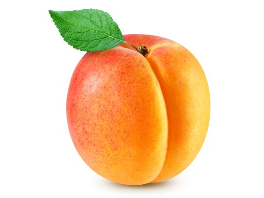 Aprikose