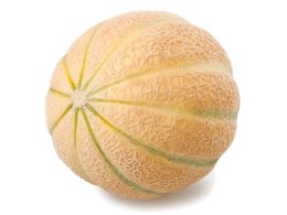 Melone - Charentais
