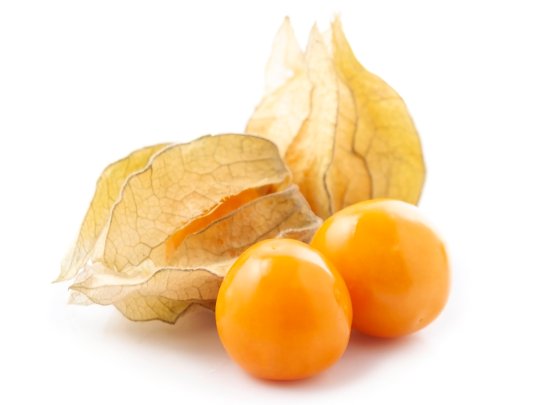 Physalis