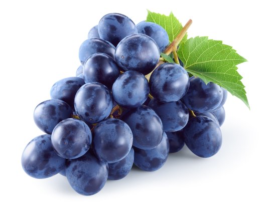 Traube - Autumn Royal