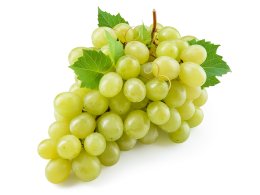 Traube - Thompson Seedless